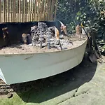 Mar Y Sol דירה